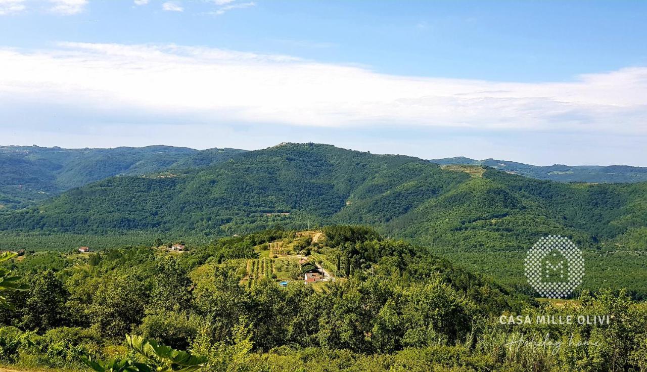 Willa Casa Mille Olivi Buzet Zewnętrze zdjęcie