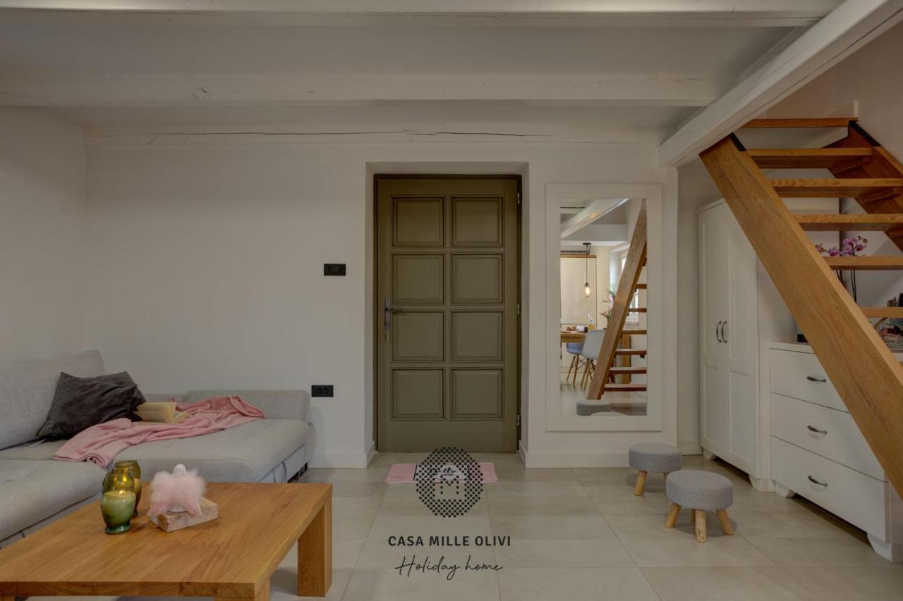 Willa Casa Mille Olivi Buzet Zewnętrze zdjęcie